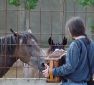 A los caballos les gusta el sonido de la trikitixa